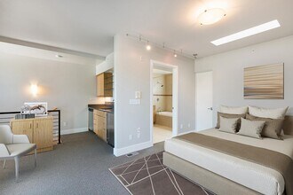 Washington Street Townhomes in Denver, CO - Building Photo - Building Photo
