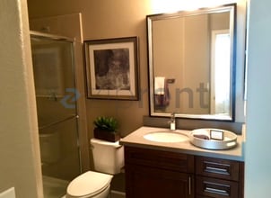 4704 Norris Canyon Rd in San Ramon, CA - Building Photo - Building Photo