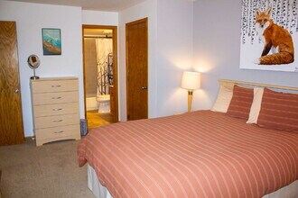 89000 Ryan Gulch Rd in Silverthorne, CO - Building Photo - Building Photo