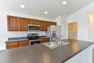 1513 First Light Dr in Windsor, CO - Building Photo - Building Photo
