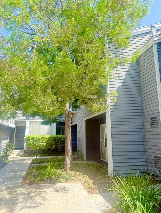 property at 25367 Pine Creek Ln