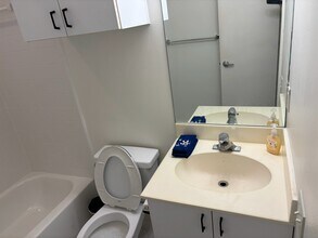 2909 Albany St in Houston, TX - Building Photo - Building Photo