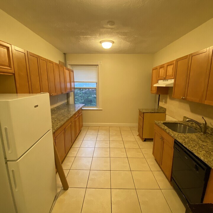 16 Euston St in Brookline, MA - Building Photo