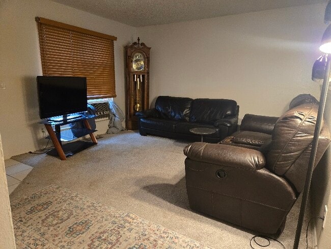 1570 S Salida Way in Aurora, CO - Building Photo - Building Photo