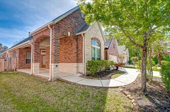 75 Tapestry Forest Pl in The Woodlands, TX - Building Photo - Building Photo