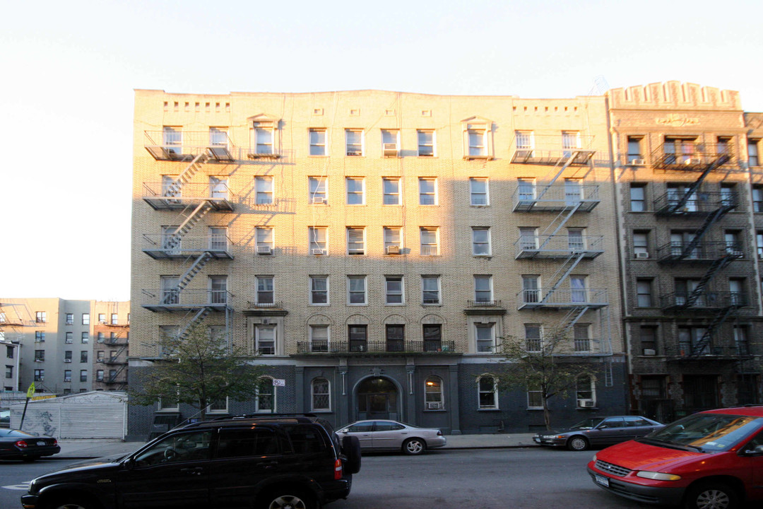 School Court in Brooklyn, NY - Foto de edificio
