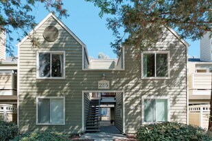 285 Reflections Dr in San Ramon, CA - Building Photo