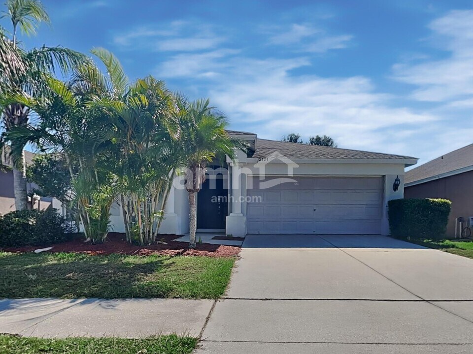 10523 Egret Haven Ln in Riverview, FL - Building Photo