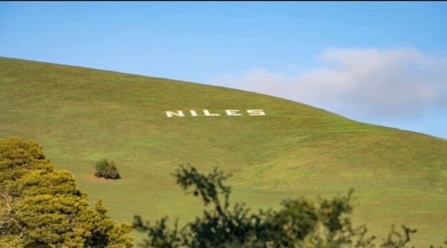 371 Riverside Ave in Fremont, CA - Foto de edificio - Building Photo