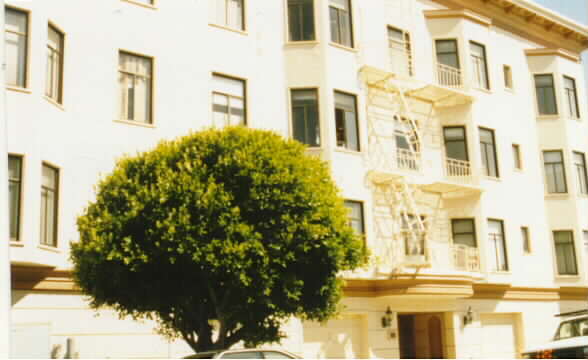 290 Alhambra Street Apartments in San Francisco, CA - Foto de edificio - Building Photo