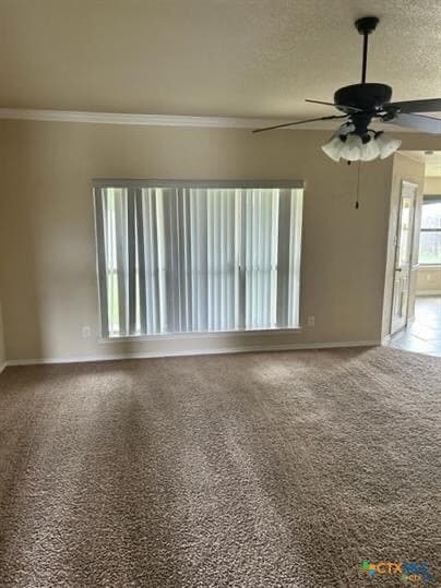 2517 Vernice Dr in Copperas Cove, TX - Building Photo - Building Photo