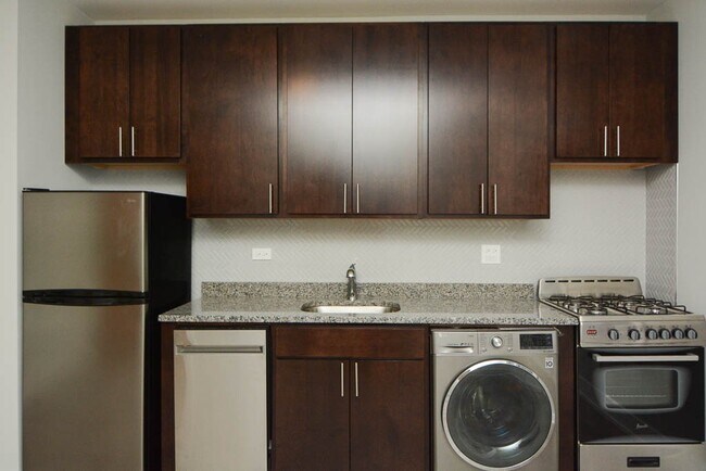 432.5 W Belden Ave in Chicago, IL - Building Photo - Building Photo