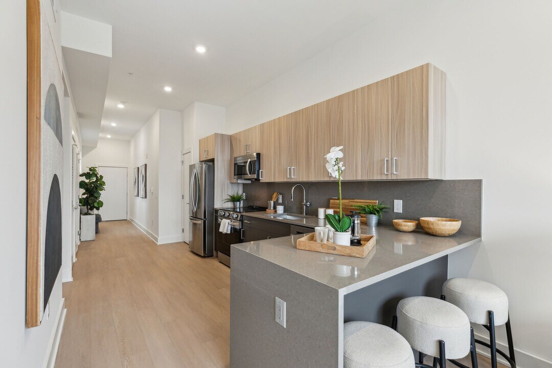 1731 Tilghman St in Philadelphia, PA - Building Photo