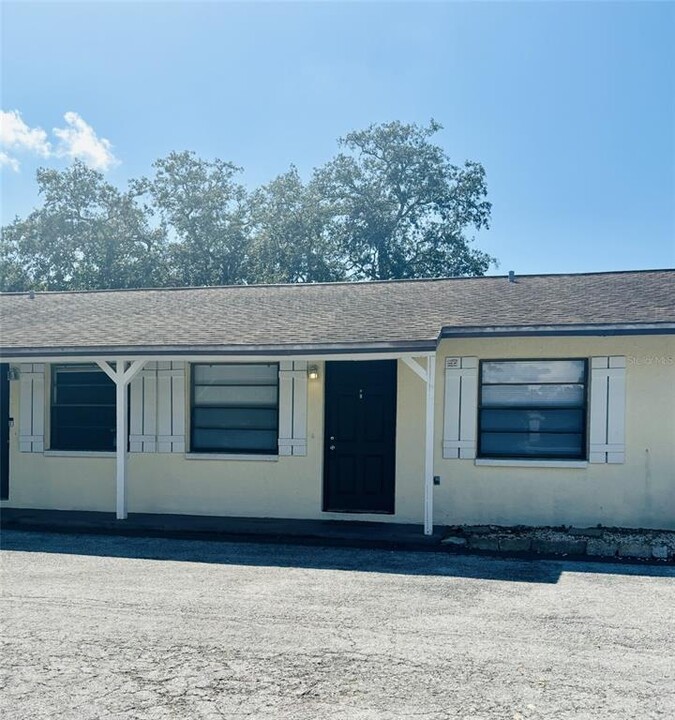 1020 E Lemon St in Tarpon Springs, FL - Building Photo