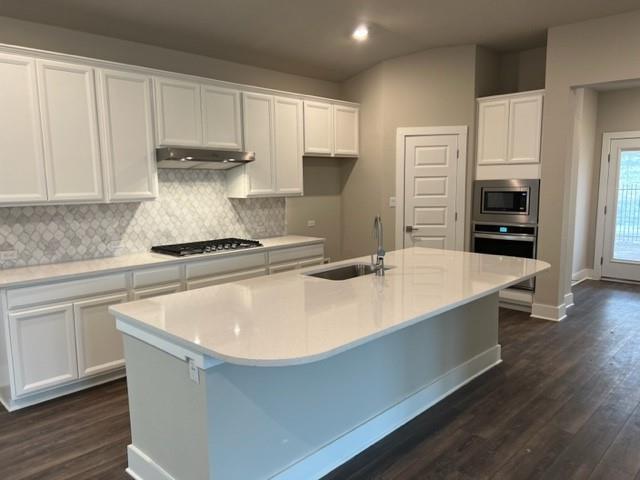 114 Victoria Peak Lp in Dripping Springs, TX - Building Photo - Building Photo