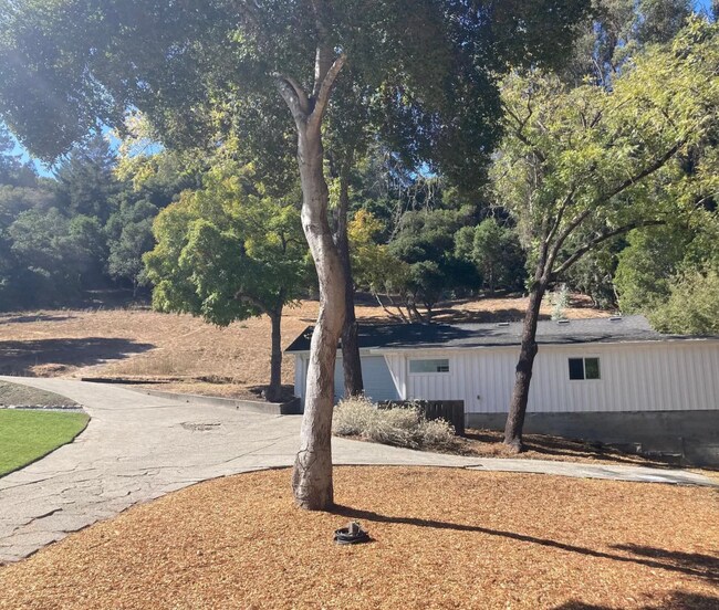 2301 Branciforte Dr Apartments and Nearby Santa Cruz Apartments For