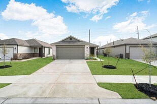10726 Lavender Cotton Ln in Houston, TX - Building Photo