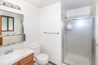 1692 S Juliana Ave in Loveland, CO - Building Photo - Building Photo