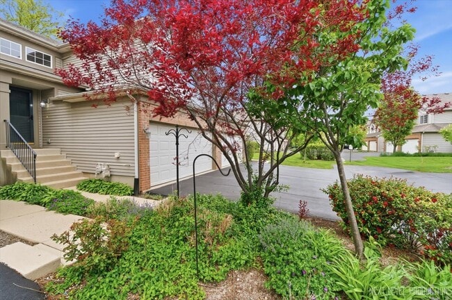 1078 Park Hill Cir in Aurora, IL - Building Photo - Building Photo