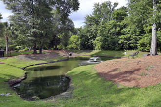 Bridge Pointe Apartments and Townhomes in Summerville, SC - Building Photo - Building Photo