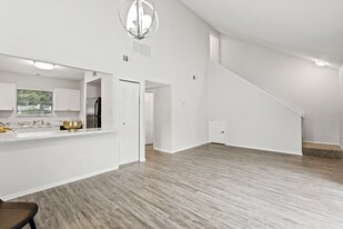 2560 W Bird St in Tampa, FL - Building Photo