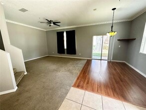 15667 Boggy Oak Cir in Winter Garden, FL - Building Photo - Building Photo