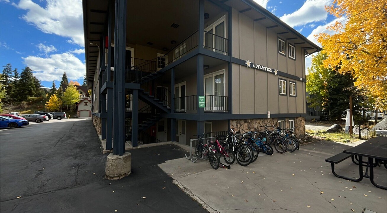 214 N Main St in Breckenridge, CO - Building Photo