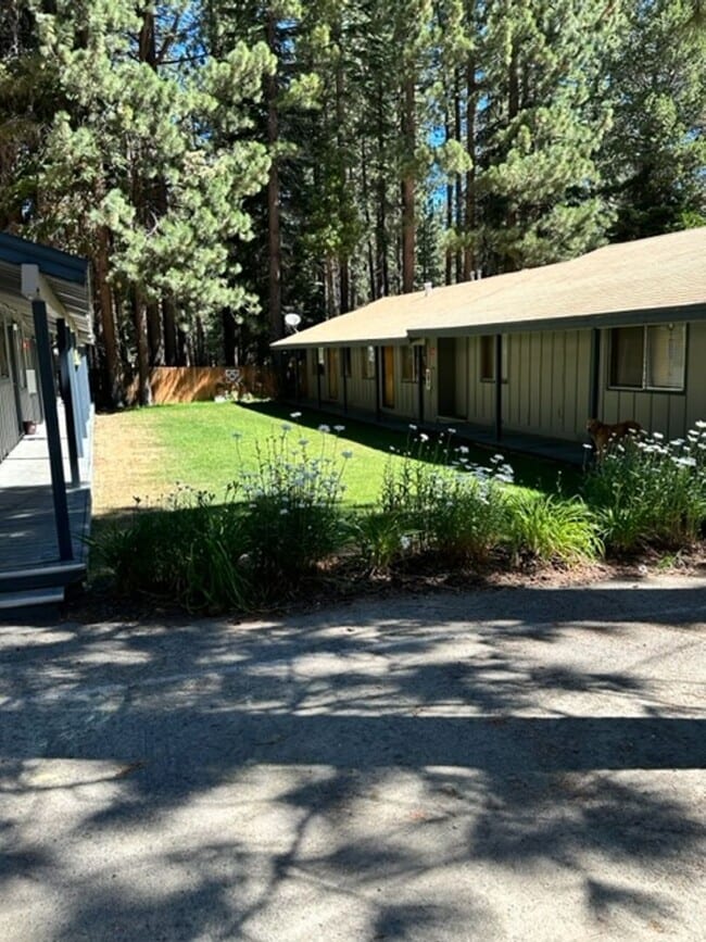2165 Jean Ave in South Lake Tahoe, CA - Foto de edificio - Building Photo