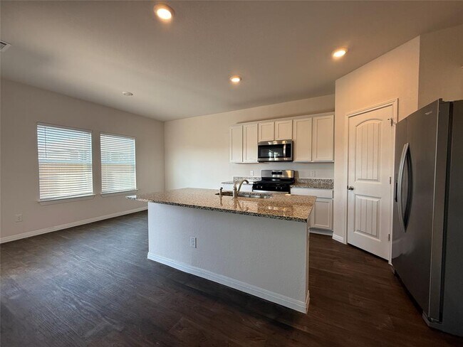 149 Alamo Vine Ct in Kyle, TX - Building Photo - Building Photo