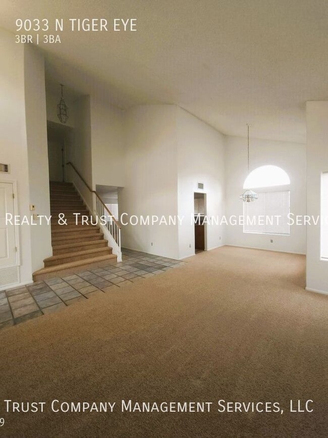 9033 N Tiger Eye Way in Tucson, AZ - Building Photo - Building Photo
