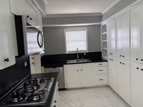 518 Avenue of Oaks St in Houston, TX - Building Photo - Building Photo