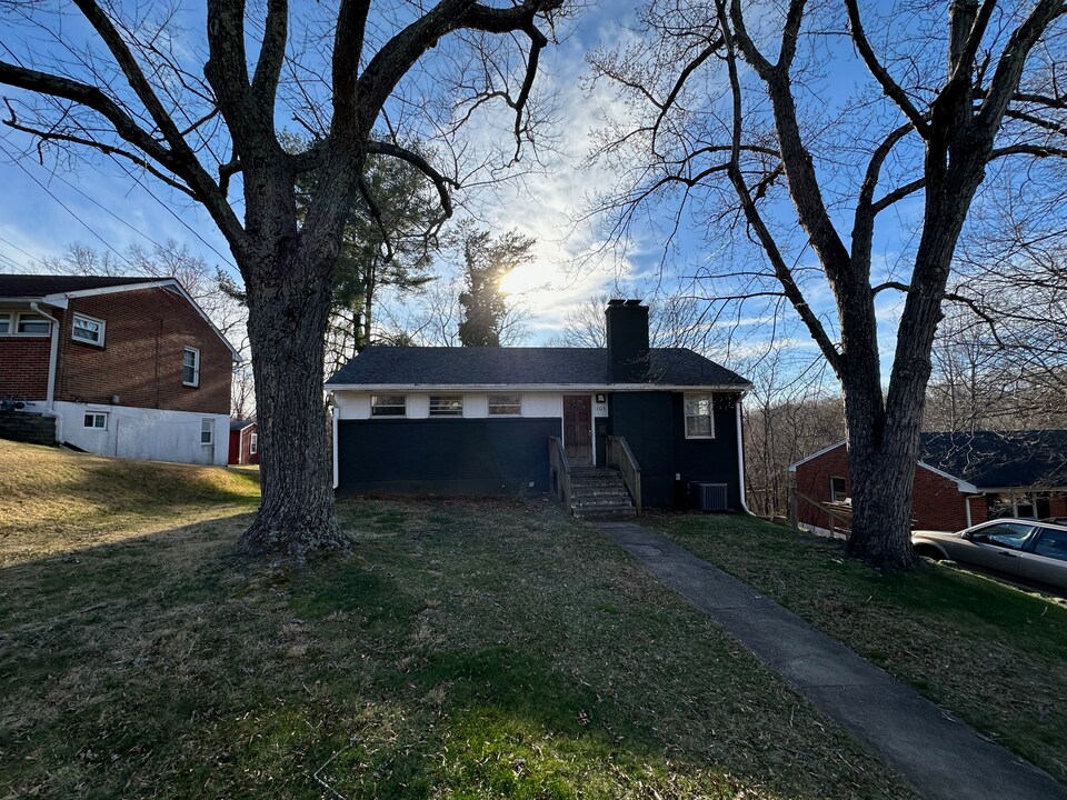 105 Meadowview Dr in Lynchburg, VA - Building Photo