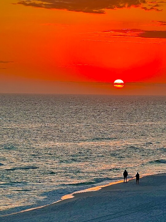 955 Scenic Hwy in Miramar Beach, FL - Building Photo