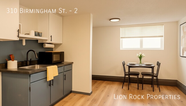 310 Birmingham St in St. Paul, MN - Building Photo - Building Photo