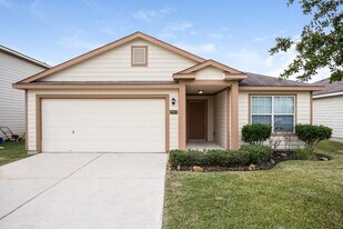 29023 Trinity River Dr in Spring, TX - Building Photo