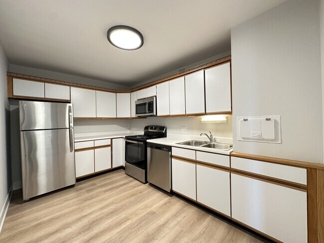 1349 N Dearborn St in Chicago, IL - Building Photo - Building Photo