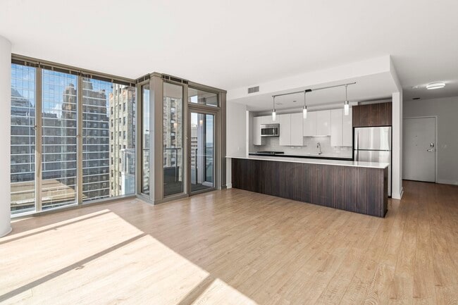 221 N Garland Ct in Chicago, IL - Foto de edificio - Building Photo