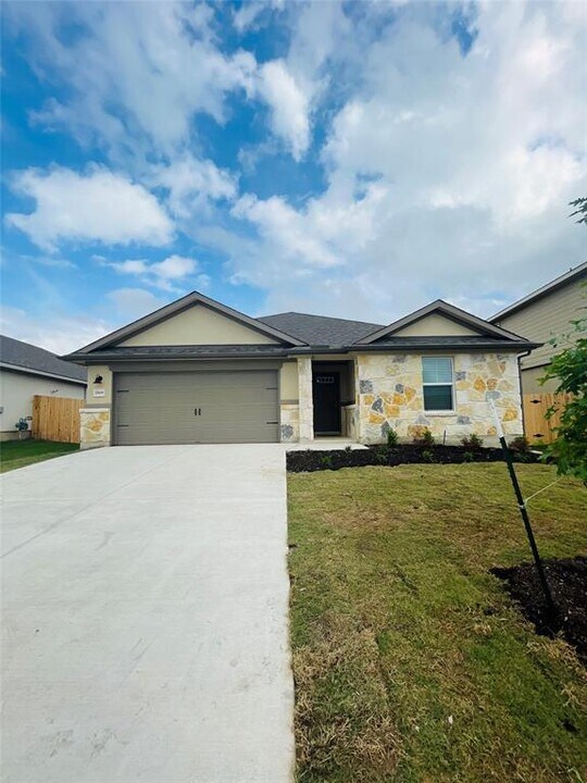 17809 Owl Tree Rd in Manor, TX - Building Photo