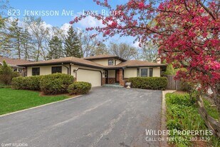 823 Jenkisson Ave in Lake Bluff, IL - Building Photo