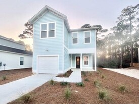 231 Euvino Wy in Santa Rosa Beach, FL - Building Photo