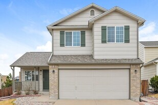 647 Branding Iron Ln in Castle Rock, CO - Building Photo