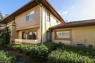 2913 Lichen Ln in Clearwater, FL - Building Photo