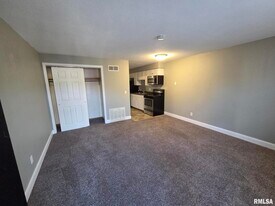 1102 Mound St in Davenport, IA - Building Photo