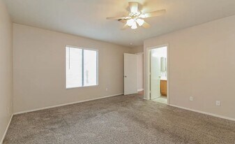 1465 Explorador Calle in Denver, CO - Building Photo
