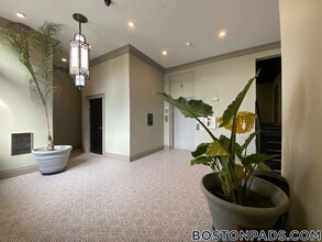 1258 Massachusetts Ave in Boston, MA - Building Photo - Building Photo