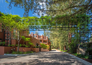 Palo Alto Redwoods in Palo Alto, CA - Building Photo - Building Photo