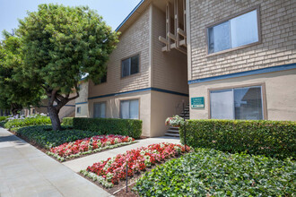 Cedartree in Santa Clara, CA - Building Photo - Building Photo