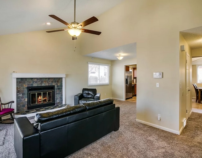 166 Mt Massive Way in Longmont, CO - Building Photo - Building Photo