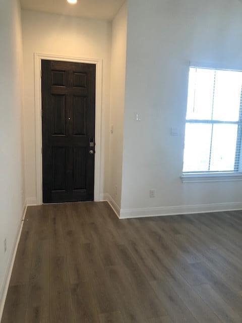 307 Orleanian Dr in Buda, TX - Building Photo - Building Photo
