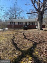 111 Watsons Mill Rd in Elmer, NJ - Building Photo